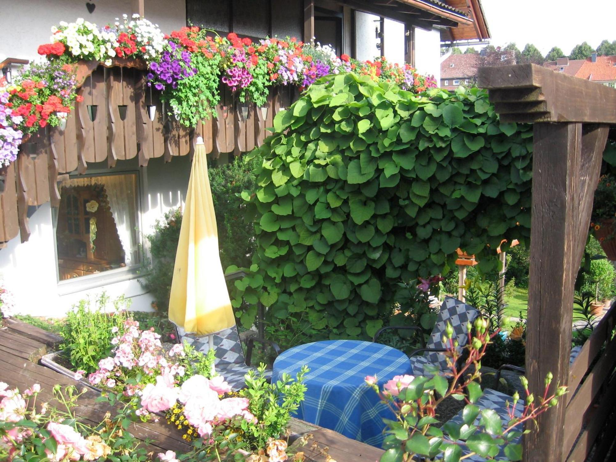 Apartmenthaus - Haus Am Schultal, Braunlage Kültér fotó