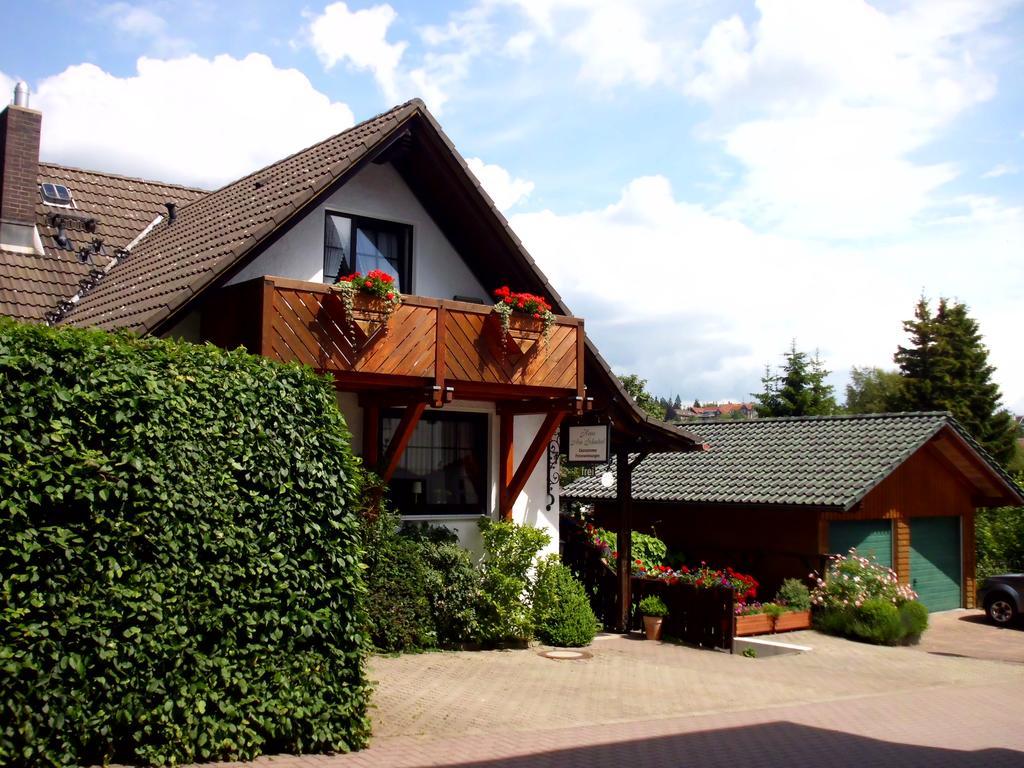 Apartmenthaus - Haus Am Schultal, Braunlage Kültér fotó